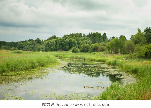自然风景蓝天白云下的树林池塘草地沼泽风景图湿地沼泽湿地日